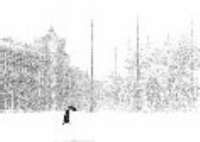 Bruno Rosso: Neve a Venezia