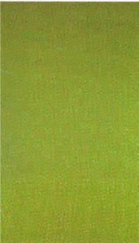 Dorazio-il primo viaggio