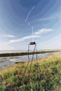 Dario Bartolini. Acque Meridiane