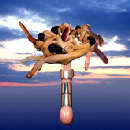 Fino al 12.VIII.2001 | Enrico Baj, Dodici miliardi per il 2030… | Banari (ss), Casa Carta