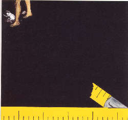 Enzo Cucchi, Senza titolo