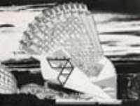 Pellegrin, Concorso Les Halles