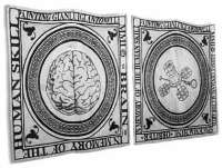 Gian Luigi Antonelli