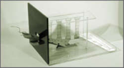 nizzoli improbable cadmus harmonia 