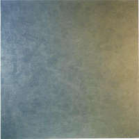 Simpson_David_Event_Horizon_2001_acrilico_su_tela_2000_cm_183x183