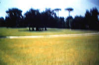 Roberto Cascone, "Silence Dreams"