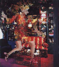 Massimo Barzagli, Broccata nella stanza_ 2001_ acrilici su acrilici aerografati su tela di lino cm. 178x200