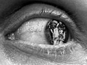 Interaction 01, Giappone