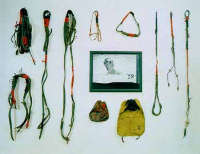 Vittorio Urbani, MPellegrin1