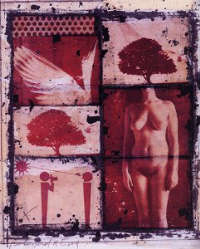 Il codice Duval di Adriano Eccel