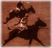 Reverso Platinum Number One