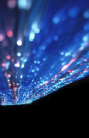 fino al 31.XII.2001 | Concorso di pittura | Banari (ss), Fondazione Logudoro Meilogu fino al 31.XII.2001 | Concorso di pittura | Banari (ss), Fondazione Logudoro Meilogu