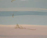 Gianluca Sgherri alla Camaver Kunsthaus