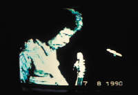 SCHIFANO fotogramma Jimmy Hendrix