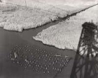 Pratt Charles. New Jersey Marshlands, 1963 