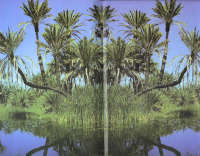 Paolo Gonzato, Reflected Landscape, 2001
