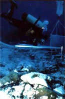 Recupero reperti in mare