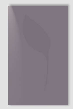 Vittorio Apa, SENZA_TITOLO_33_2000