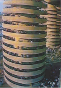 Di Bello Paola, Stadio, foto da vhs