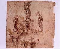 Michelangelo, disegno
