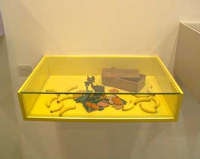 ARCO, Gall Tache Carlos Pazos