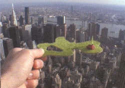 Moving Jeroen Kooijmans roy cerpac floating Garden2001