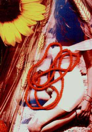 Bruno del Monaco - Metamorfosi