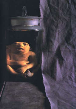 Fratelli Bassotto, Homo Sapiens