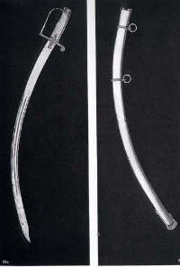 Sciabola appartenuta al generale Salvatore Pianell