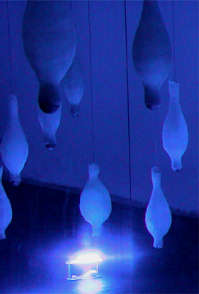 Andrea Marini - effettoserra