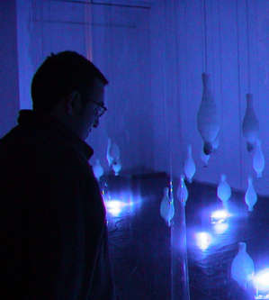 Andrea Marini - effettoserra