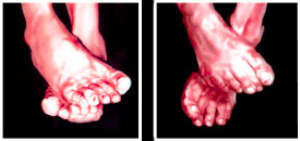 Corpo a corpo: Bellucco e Guida