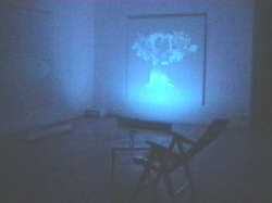 Sarah Ciracì - Un’estate a Bikini 2.0