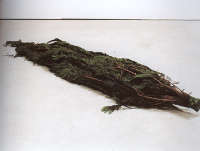 Agarhta-Francesco Gennari, Stabilizzato,2001