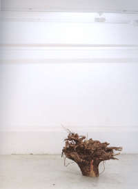 Agarhta-Francesco Gennari, Vetro,1999-2000