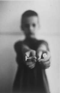 Collezione Fnac, Botman