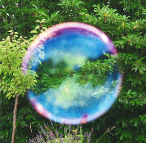 Dominique Laugè – Paysages et bestiaire