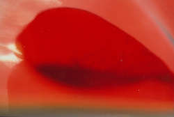 Image Gallery. VITTORIO_GUI_porta_del_cuore