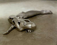 Rona Pondick, Untitled Animal, 1999-2001, Acciaio inossidabile, 16,5x113x54,6 cm
