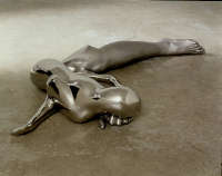 Rona Pondick, Untitled Animal, 1999-2001, Acciaio inossidabile, 16,5x113x54,6 cm