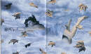 Luisa Raffaelli, Flying in the wind, 2001, fotografia a colori sotto plexiglass su leger, cm 180x105