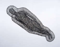 Antony Gormley - Transfuser