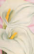 Fino al 20.V.2002 | O’Keeffe’s O’Keeffe: The Artist’s Collection | Copenaghen, Louisiana Museum for Moderne Kunst