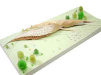 Biennale Architettura - Toyo Ito