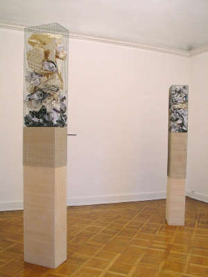 Aldo Ferrara, simili e possibili