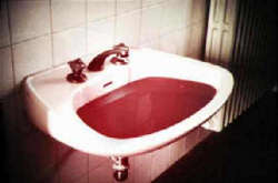 Milano, nuovo spazio di ‘decantazione’ per progetti internazionali