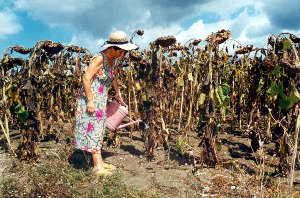 Donatella di Cicco, senza titolo, 2002