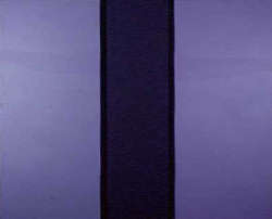 Vittorio Apa, Senza Titolo 43, 2002, 2 X (200 X 90), acrilico su lino