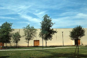 fondazione sandretto re rebaudengo esterno ph Tom Buzzi