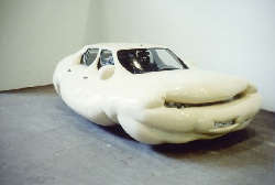 Erwin Wurm - Fat Car